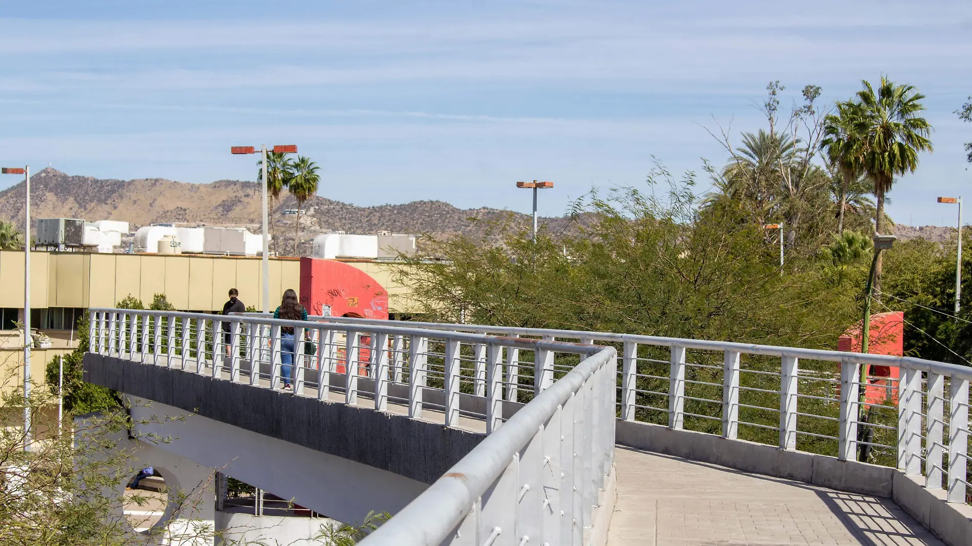 Tematica Puente peatonal Luis Encinas 